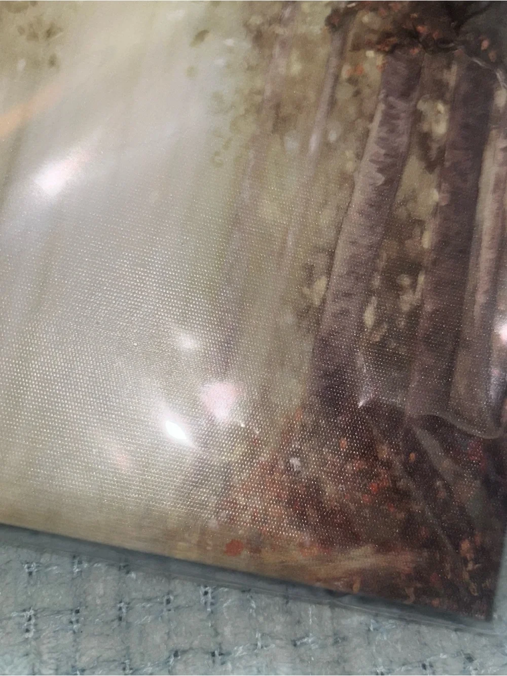 Neutral Brown Forest Canvas Wall Art NWT